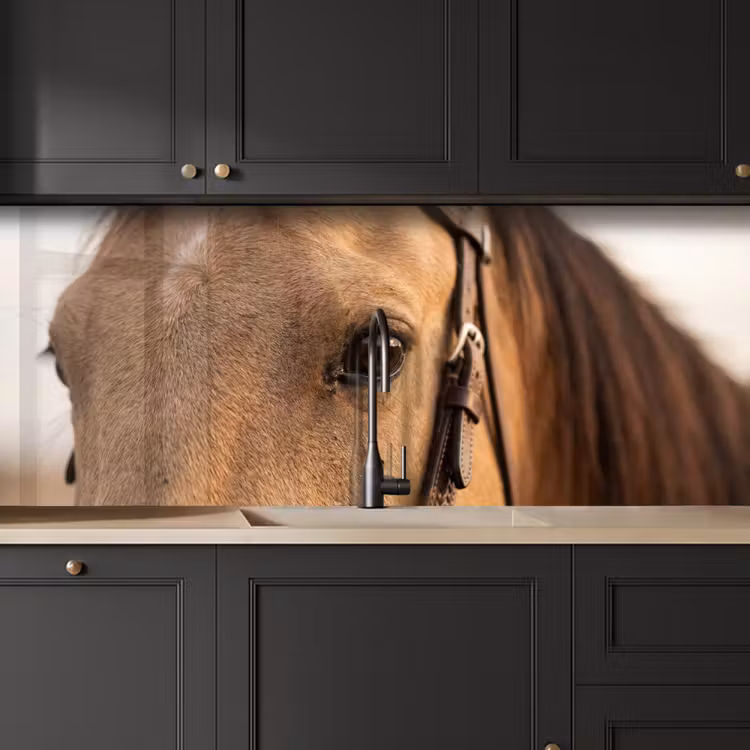 Keuken achterwand - Paard - Oog - Bruin — 6