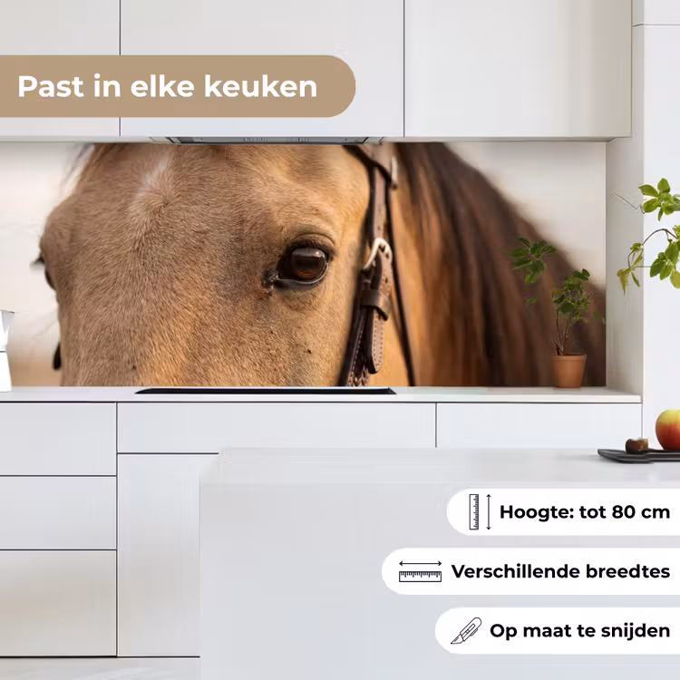 Keuken achterwand - Paard - Oog - Bruin — 7
