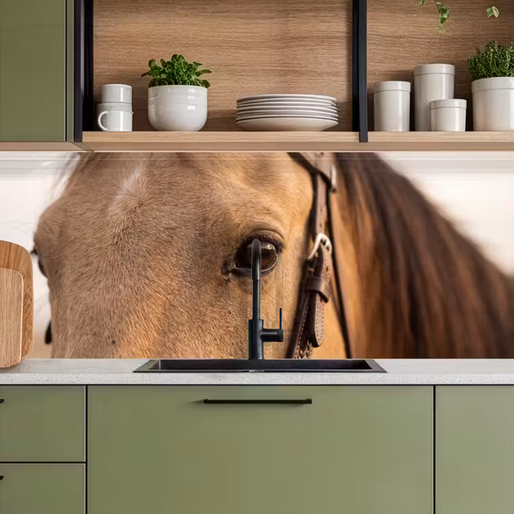 Keuken achterwand - Paard - Oog - Bruin — 8