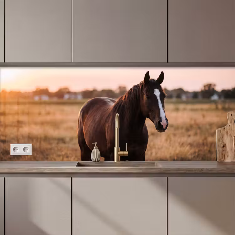 Keuken achterwand - Paard - Zonsondergang - Bruin — 1