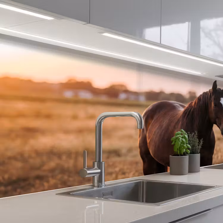 Keuken achterwand - Paard - Zonsondergang - Bruin — 2