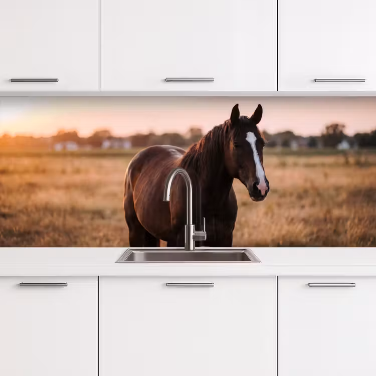 Keuken achterwand - Paard - Zonsondergang - Bruin — 4