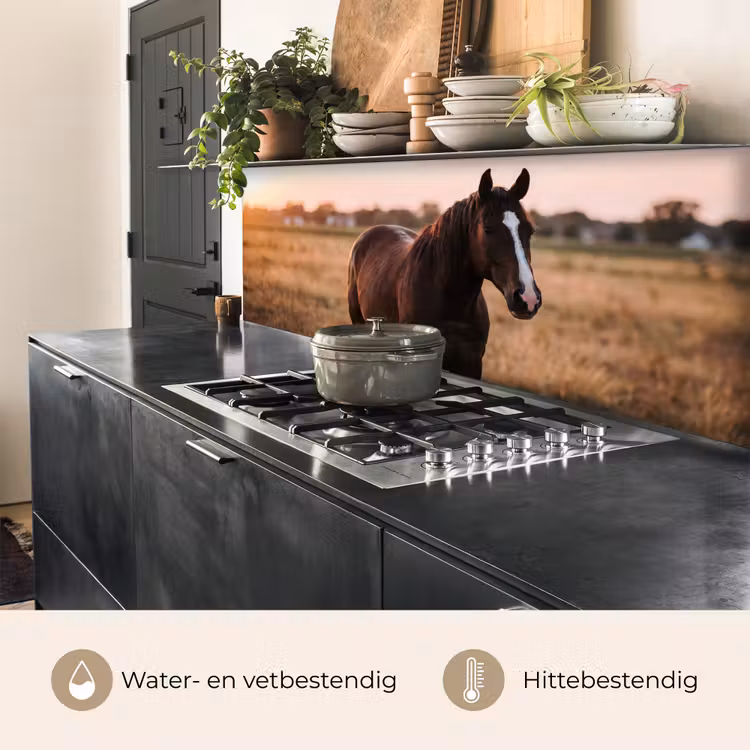 Keuken achterwand - Paard - Zonsondergang - Bruin — 5