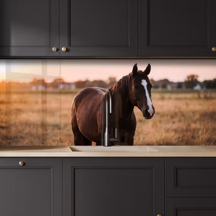 Keuken achterwand - Paard - Zonsondergang - Bruin — 6
