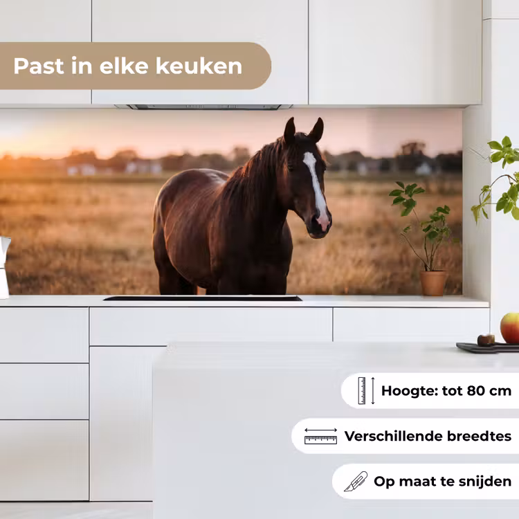 Keuken achterwand - Paard - Zonsondergang - Bruin — 7