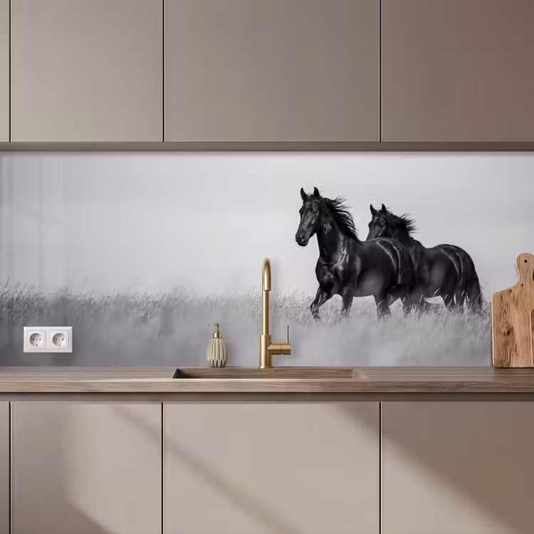 Keuken achterwand - Paarden - Gras - Zwart - Wit — 1