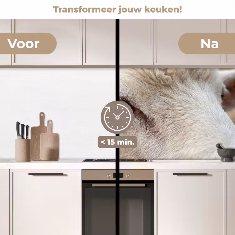 Keuken achterwand - Schaap - Oog - Wit — 3