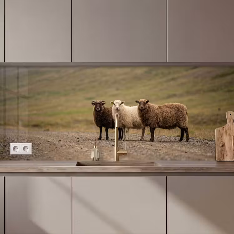 Keuken achterwand - Schapen - Bruin - Wit - Grindpad — 1