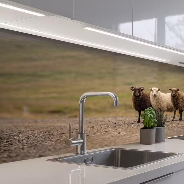 Keuken achterwand - Schapen - Bruin - Wit - Grindpad — 2