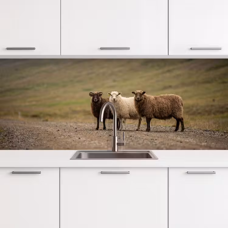 Keuken achterwand - Schapen - Bruin - Wit - Grindpad — 4