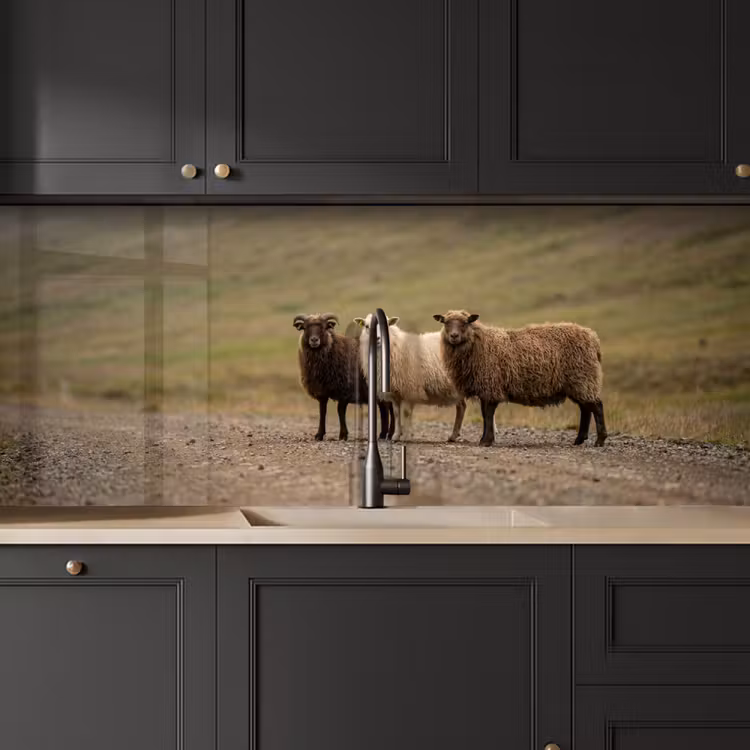 Keuken achterwand - Schapen - Bruin - Wit - Grindpad — 6