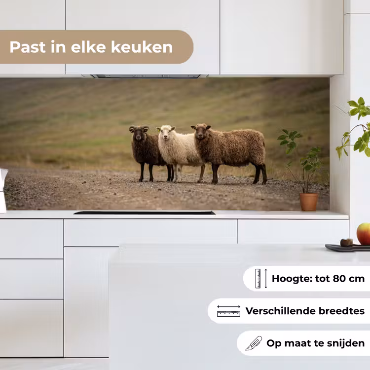 Keuken achterwand - Schapen - Bruin - Wit - Grindpad — 7