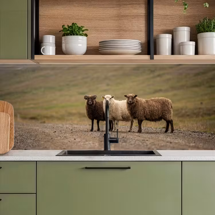 Keuken achterwand - Schapen - Bruin - Wit - Grindpad — 8