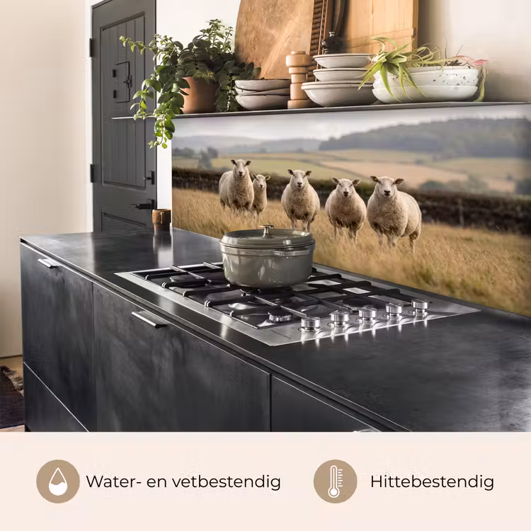 Keuken achterwand - Schapen - Weidenlandschap - Heuvels — 5