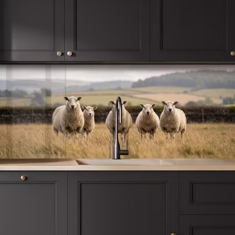 Keuken achterwand - Schapen - Weidenlandschap - Heuvels — 6