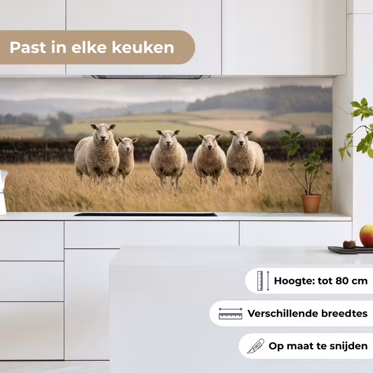 Keuken achterwand - Schapen - Weidenlandschap - Heuvels — 7
