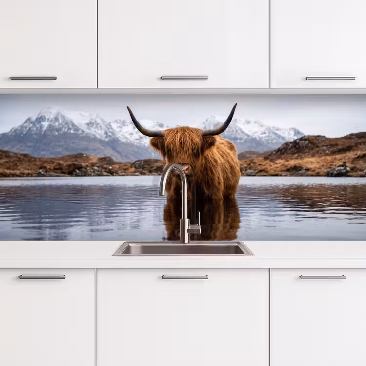 Keuken achterwand - Schotse hooglander - Bruin - Water — 4