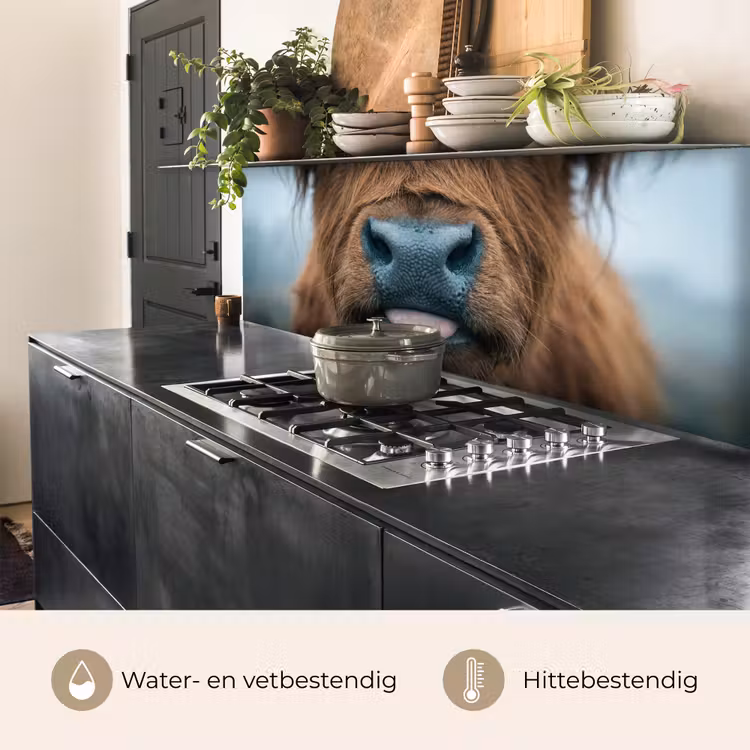 Keuken achterwand - Schotse hooglander - Neus - Bruin — 5