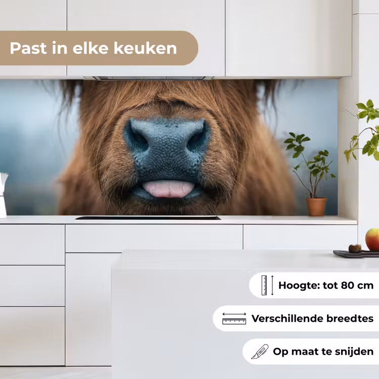Keuken achterwand - Schotse hooglander - Neus - Bruin — 7