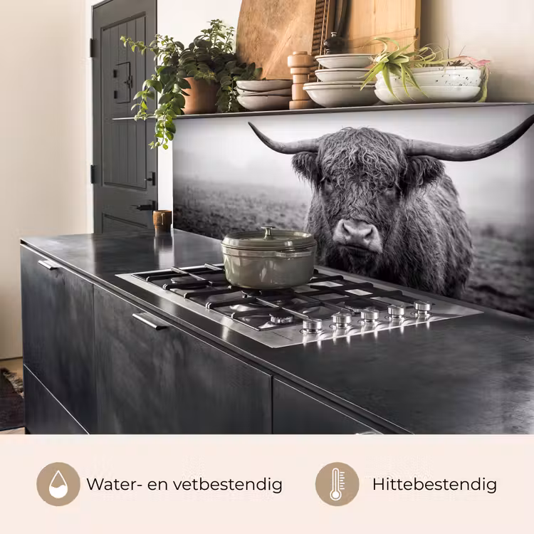 Keuken achterwand - Schotse hooglander - Zwart - Wit - Gras — 5