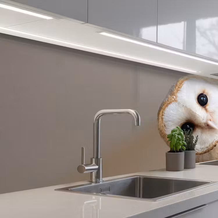 Keuken achterwand - Uil - Bruin - Wit — 2