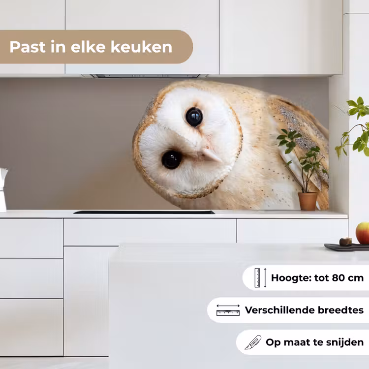 Keuken achterwand - Uil - Bruin - Wit — 7