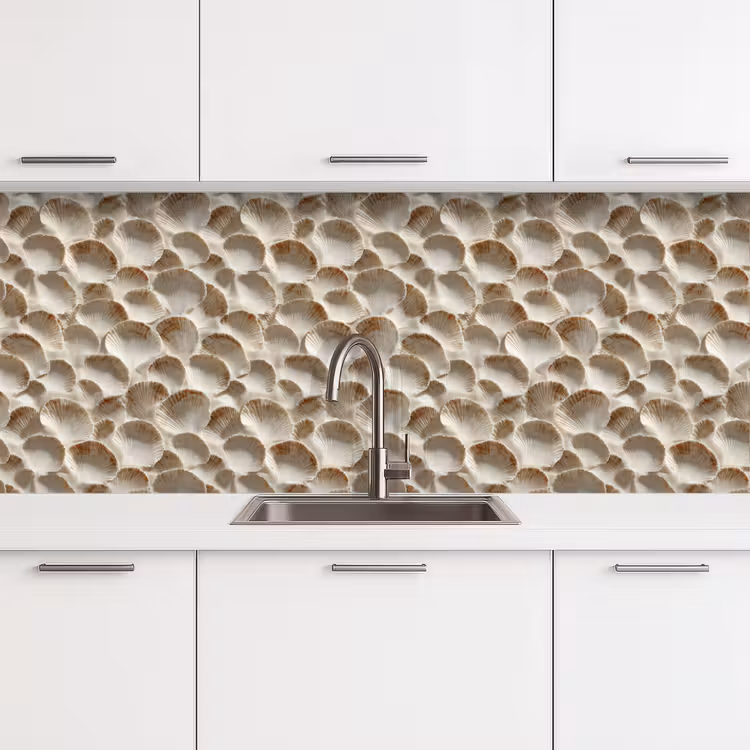Keuken achterwand - Schelpen - Waaiervorm - Wit — 4