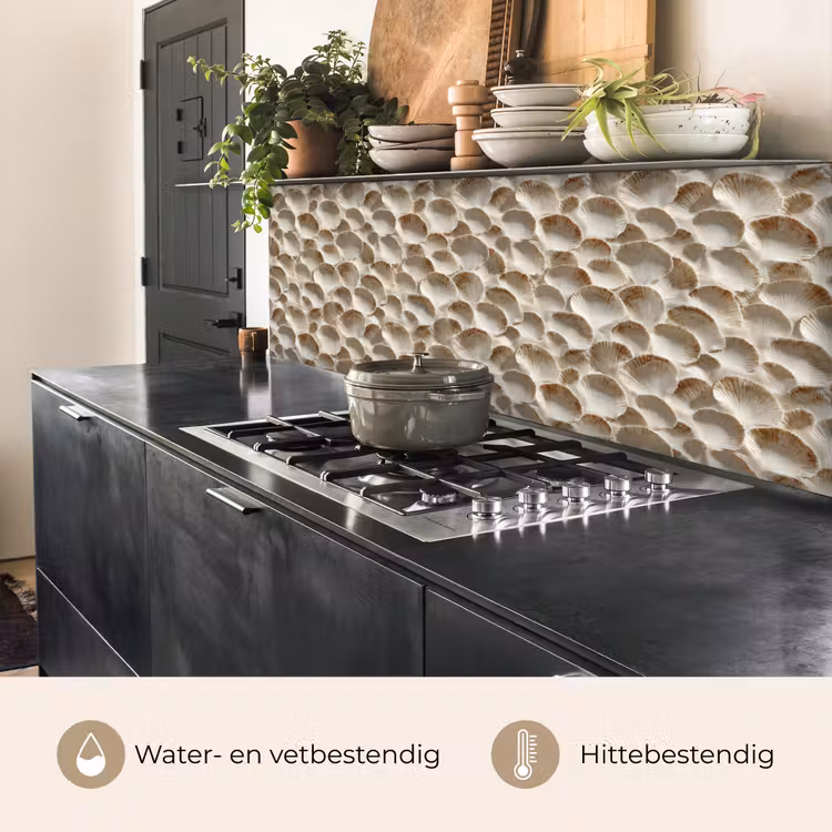 Keuken achterwand - Schelpen - Waaiervorm - Wit — 5