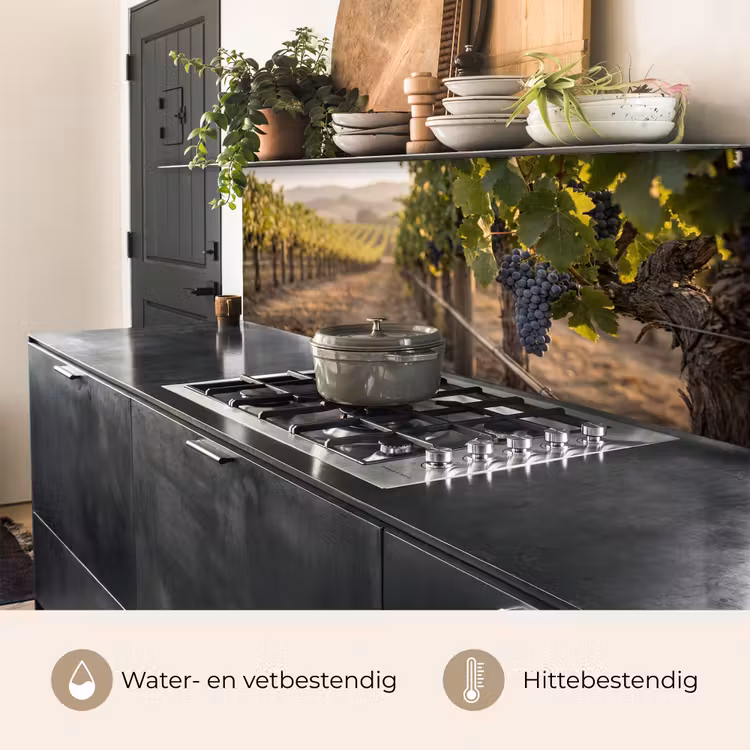 Keuken achterwand - Druiven - Wijngaard - Zonlicht — 5