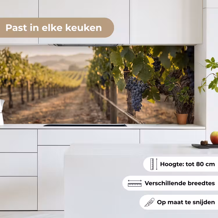 Keuken achterwand - Druiven - Wijngaard - Zonlicht — 7