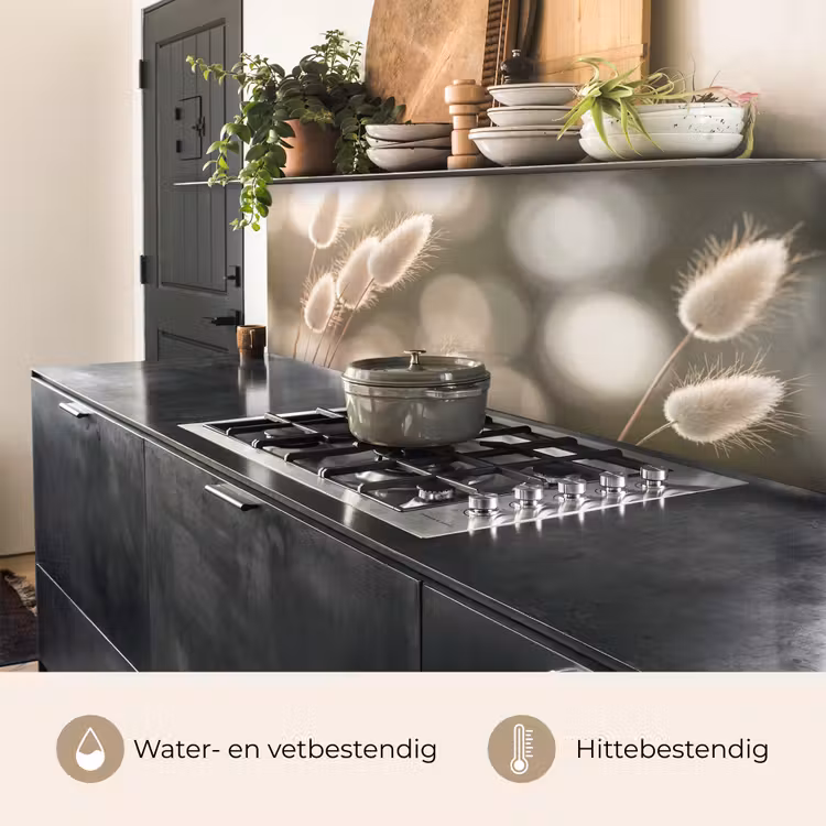 Keuken achterwand - Hazestaartgras - Wit - Zonlicht — 5