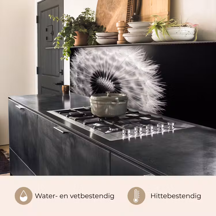 Keuken achterwand - Paardenbloem - Zwart - Wit — 5