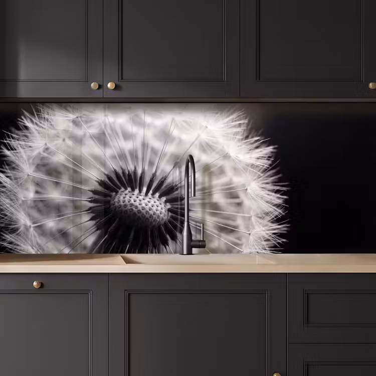Keuken achterwand - Paardenbloem - Zwart - Wit — 6