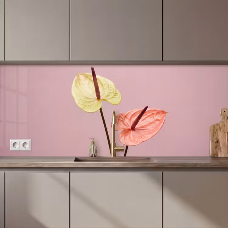 Keuken achterwand - Bloemen - Anthuriums - Geel - Roze — 1