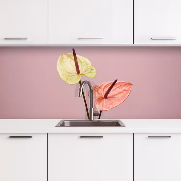 Keuken achterwand - Bloemen - Anthuriums - Geel - Roze — 4