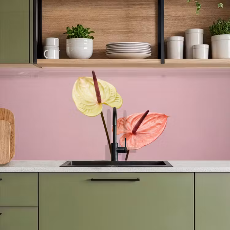 Keuken achterwand - Bloemen - Anthuriums - Geel - Roze — 8