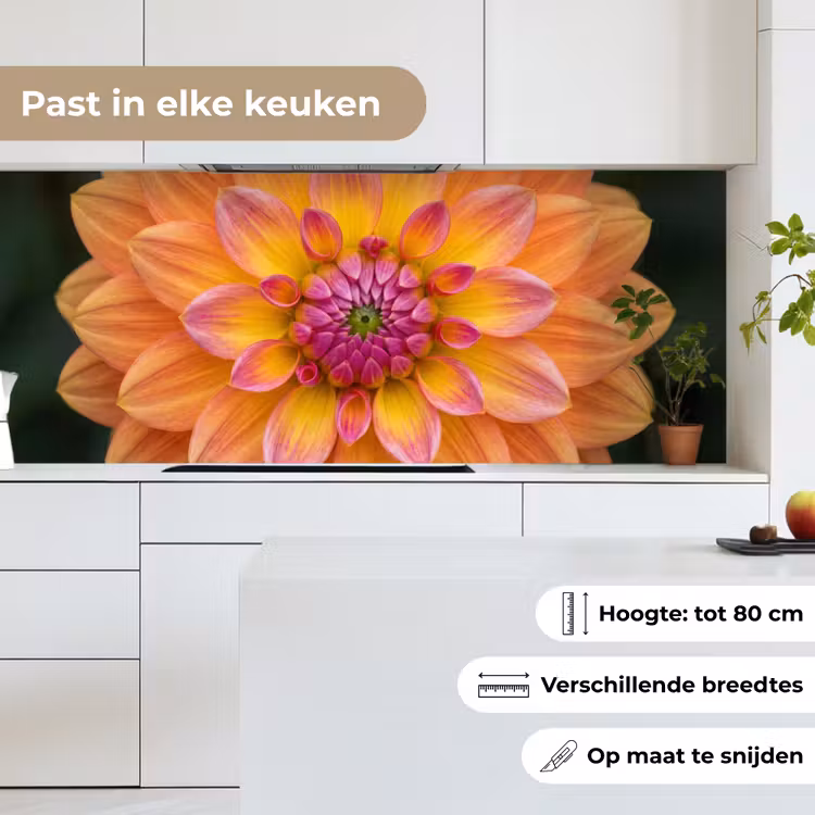 Keuken achterwand - Dahlia - Bloem - Oranje — 7