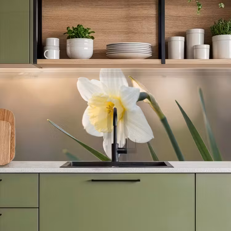 Keuken achterwand - Narcis - Bloem - Minimalistisch — 8