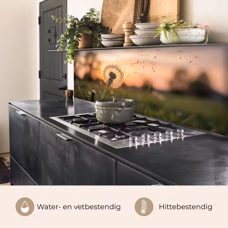 Keuken achterwand - Paardenbloem - Zonsondergang - Veld — 5