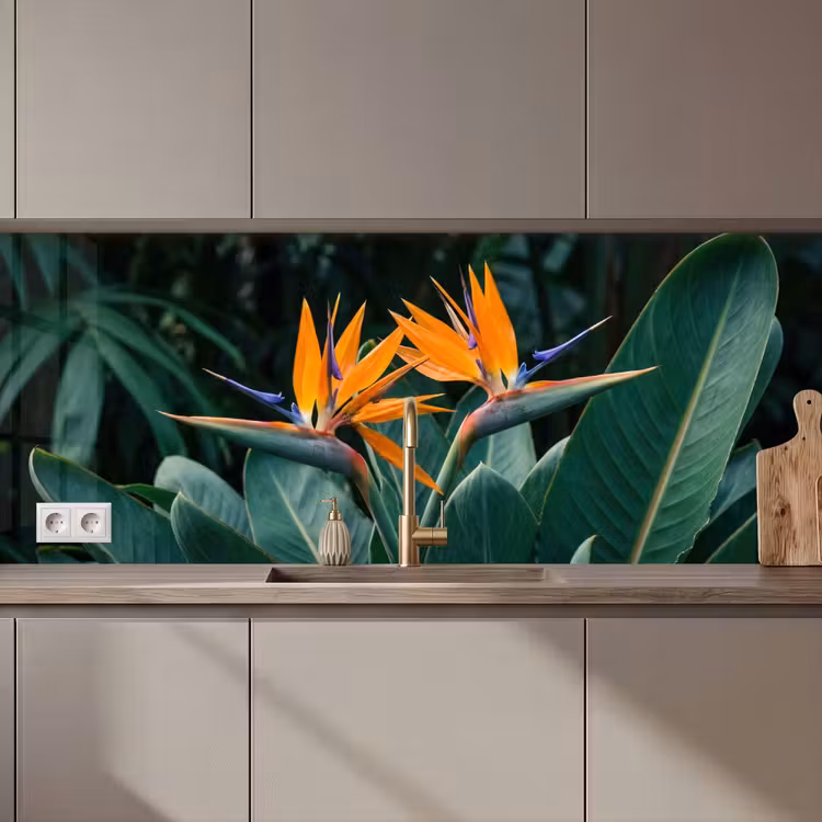 Keuken achterwand - Paradijsvogel - Bloem - Exotisch — 1