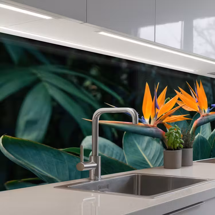 Keuken achterwand - Paradijsvogel - Bloem - Exotisch — 2