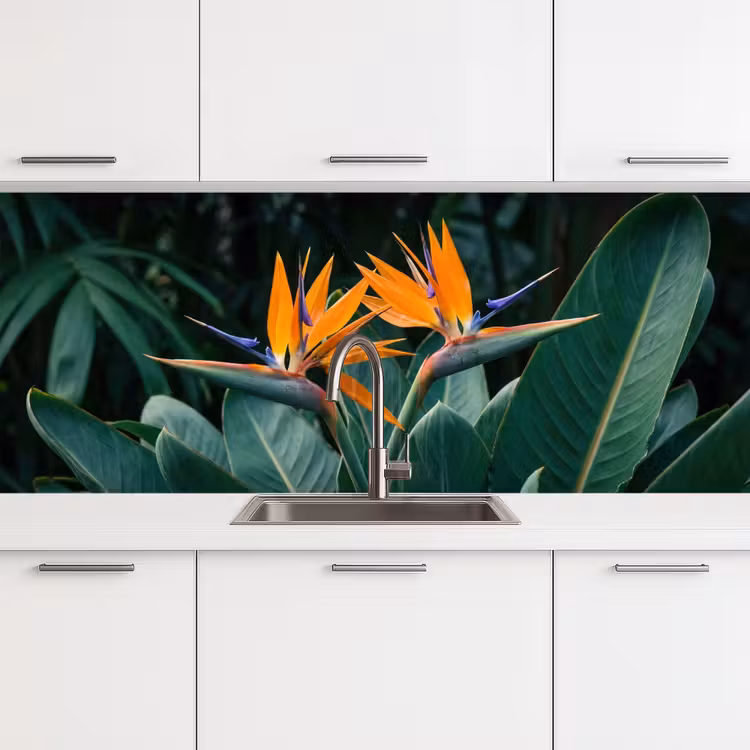 Keuken achterwand - Paradijsvogel - Bloem - Exotisch — 4