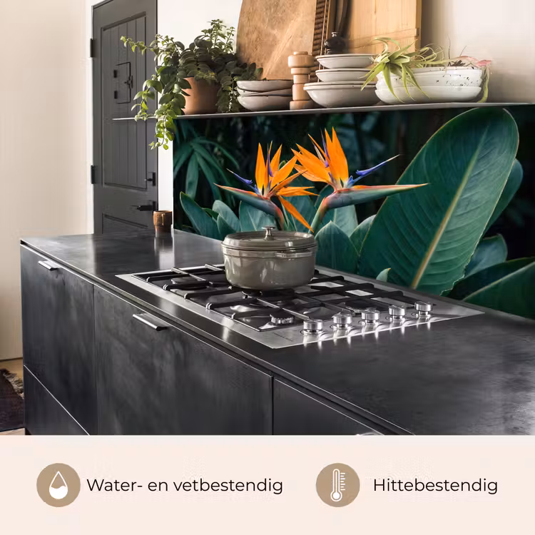 Keuken achterwand - Paradijsvogel - Bloem - Exotisch — 5
