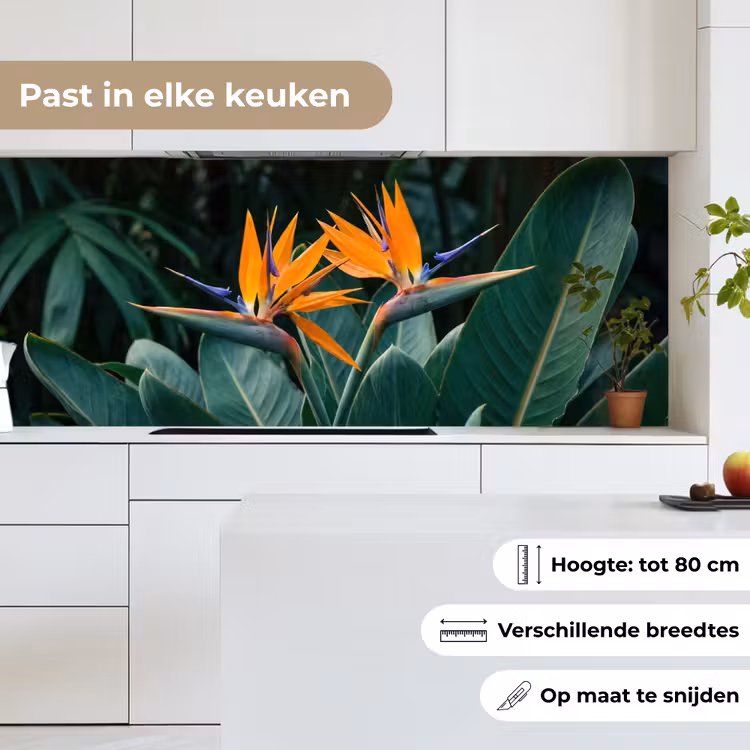 Keuken achterwand - Paradijsvogel - Bloem - Exotisch — 7