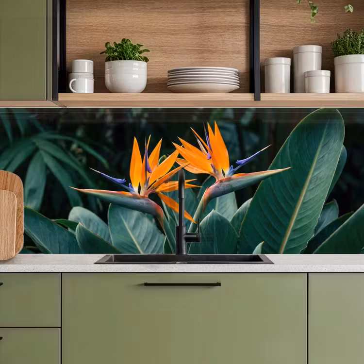 Keuken achterwand - Paradijsvogel - Bloem - Exotisch — 8