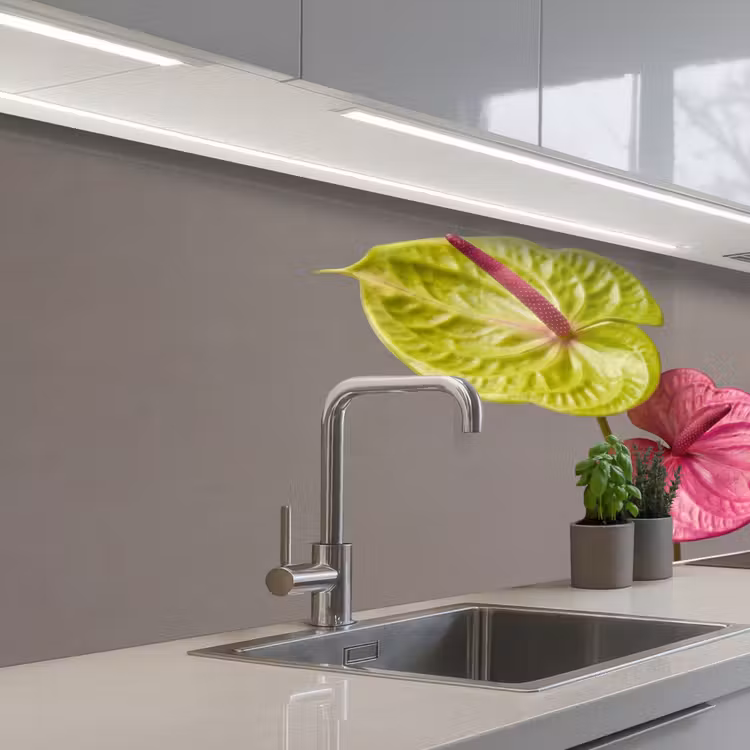 Keuken achterwand - Planten - Anthurium - Groen - Roze — 2