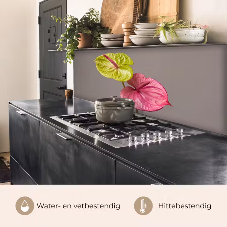 Keuken achterwand - Planten - Anthurium - Groen - Roze — 5