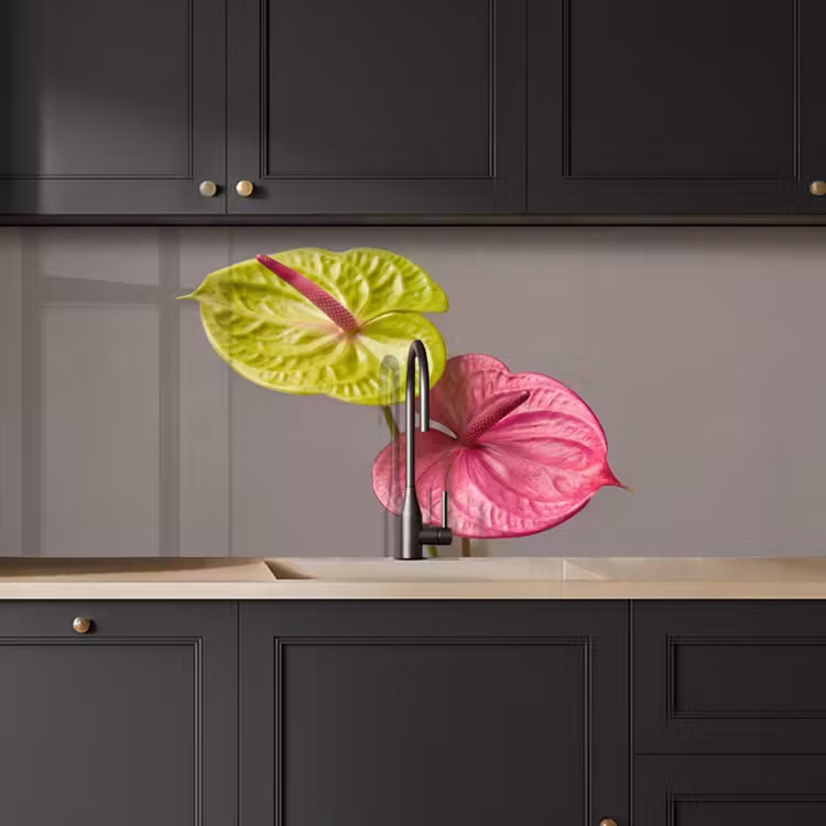 Keuken achterwand - Planten - Anthurium - Groen - Roze — 6