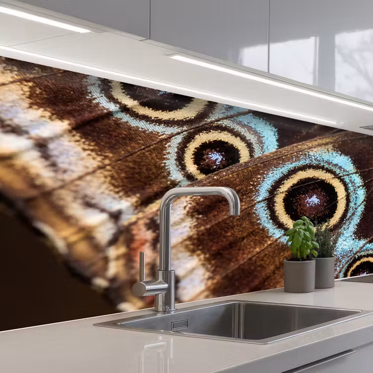 Keuken achterwand - Vleugels - Vlinder - Blauw — 2