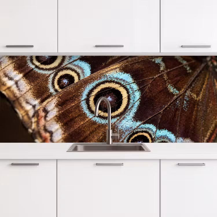 Keuken achterwand - Vleugels - Vlinder - Blauw — 4